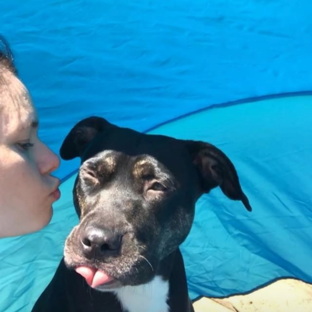 Meet your Posher, Amber